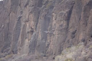 GC-Plalmitos Park 2019-135.JPG
